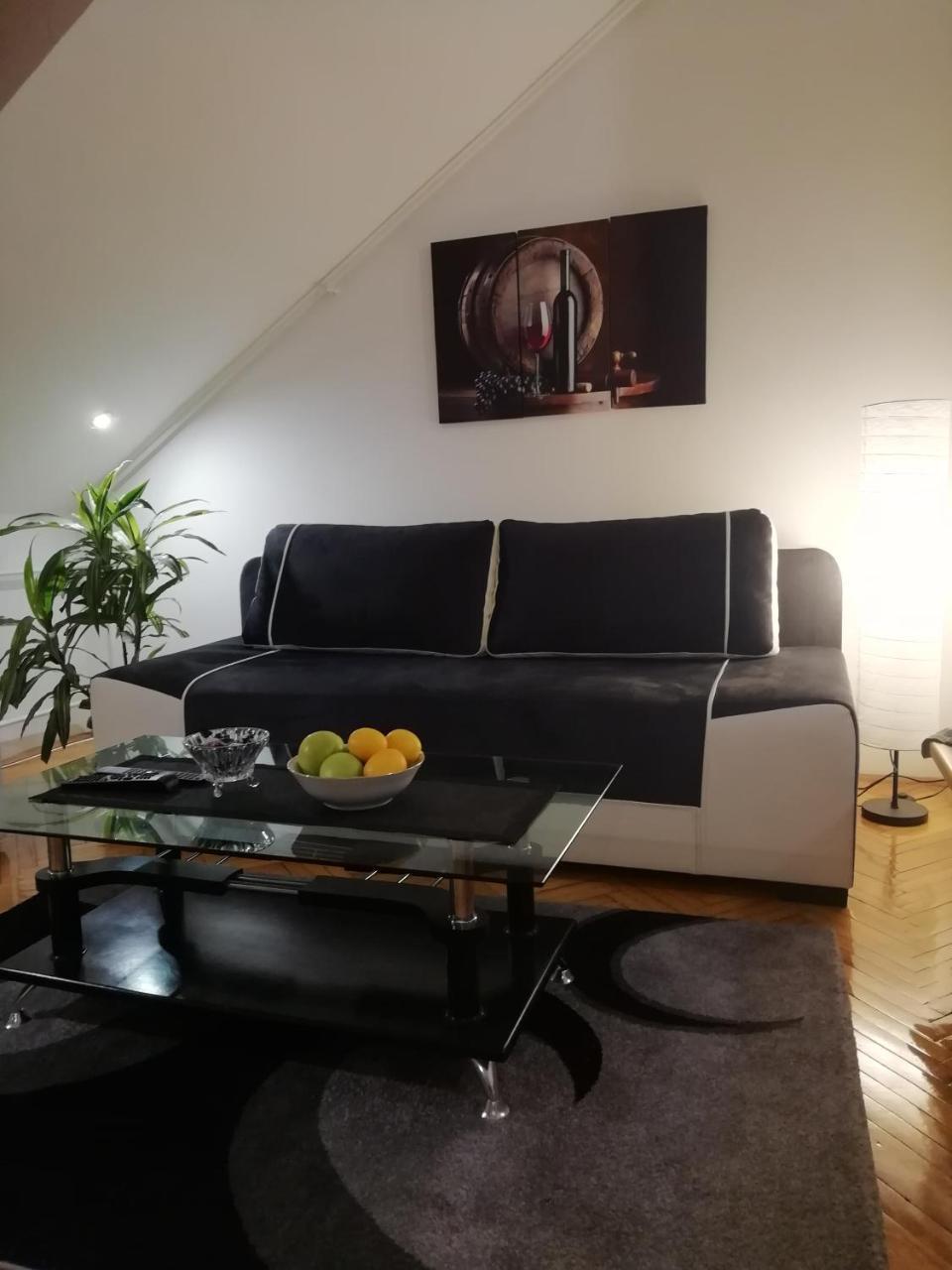 Two Kings Apartment Нови Сад Екстериор снимка