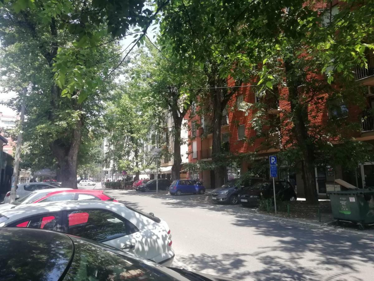 Two Kings Apartment Нови Сад Екстериор снимка