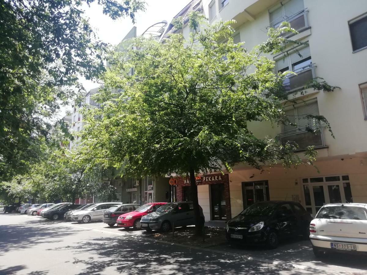 Two Kings Apartment Нови Сад Екстериор снимка